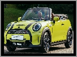 Kabriolet, Żółty, Mini Cooper S