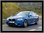 BMW F10, Lewa, Drzwi, Strona