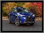 Lexus UX 200 F Sport, Niebieski