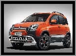 Fiat Panda Cross